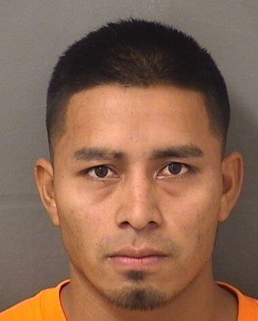  DANIEL TOMAS SANTOSANDRES Photo For  DANIEL TOMAS SANTOSANDRES