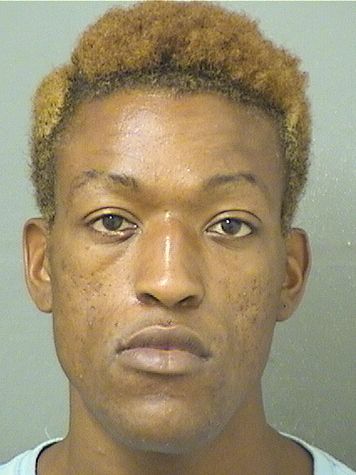  DOMINICK RAYNAL JOHNSON Resultados de la busqueda para Palm Beach County Florida para  DOMINICK RAYNAL JOHNSON