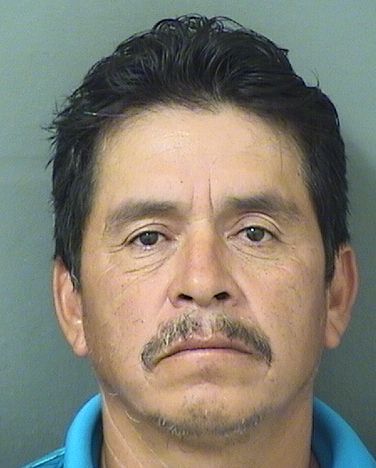  GREGORIO CRECENCIO AVILAVASQUEZ Resultados de la busqueda para Palm Beach County Florida para  GREGORIO CRECENCIO AVILAVASQUEZ