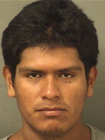  MAYNOR VELASQUEZORTIZ Results from Palm Beach County Florida for  MAYNOR VELASQUEZORTIZ