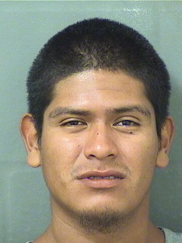  MAYNOR VELASQUEZORTIZ Photo For  MAYNOR VELASQUEZORTIZ