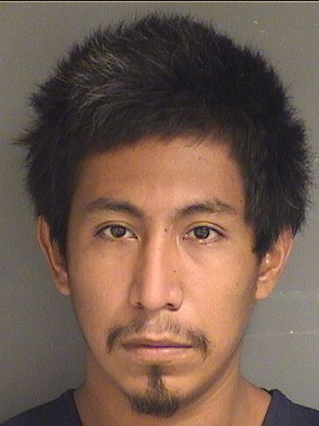  MISAEL OMAR PALACIO MALDONADO Photo For  MISAEL OMAR PALACIO MALDONADO