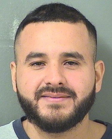  JONATHAN LUIS MURILLO Results from Palm Beach County Florida for  JONATHAN LUIS MURILLO