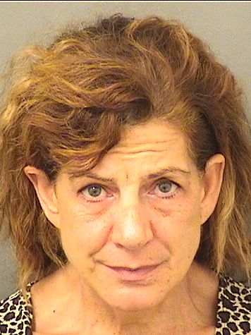  ALINA OTERO ELSALHY Results from Palm Beach County Florida for  ALINA OTERO ELSALHY