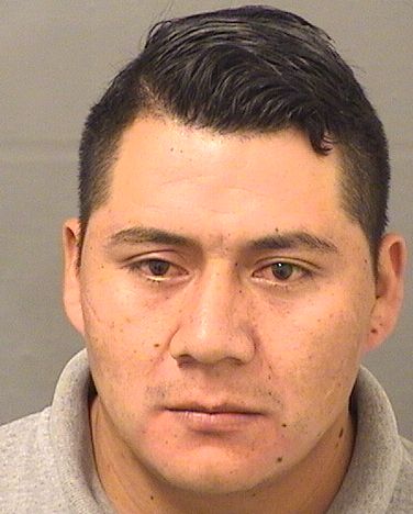  NELBIN BAUTISTA Results from Palm Beach County Florida for  NELBIN BAUTISTA