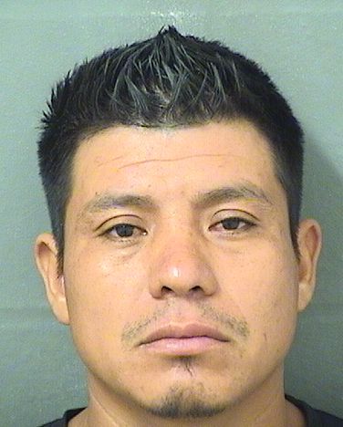  FEDERICO SILVESTREDOMINGO Results from Palm Beach County Florida for  FEDERICO SILVESTREDOMINGO