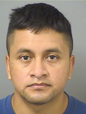  TOMAS CHALCUTUIS Results from Palm Beach County Florida for  TOMAS CHALCUTUIS