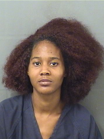  BARBARA A JAMESTOLVERT Results from Palm Beach County Florida for  BARBARA A JAMESTOLVERT