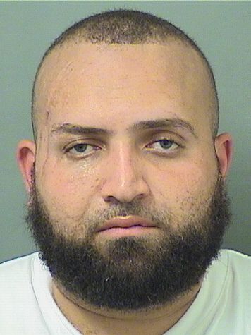  MARIO J ALAN Results from Palm Beach County Florida for  MARIO J ALAN