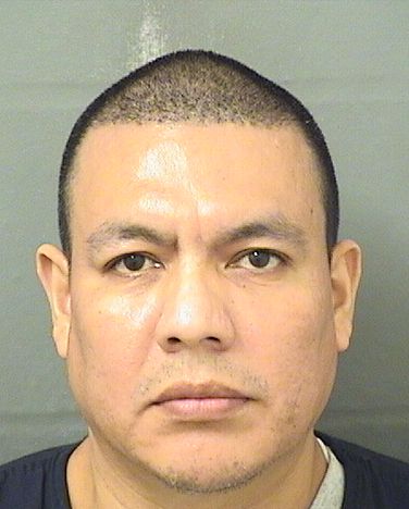  MIQUEL ANGEL ENRIQUEZ Resultados de la busqueda para Palm Beach County Florida para  MIQUEL ANGEL ENRIQUEZ