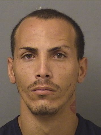  RAMON ROSALES MOLINA Results from Palm Beach County Florida for  RAMON ROSALES MOLINA