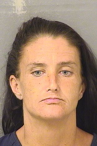  DIANNE M DAVIS Results from Palm Beach County Florida for  DIANNE M DAVIS