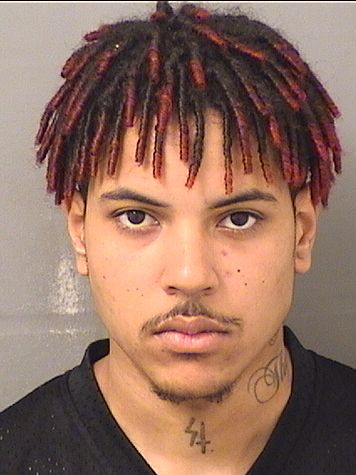  CARLITO JUNIOR MILFORT Results from Palm Beach County Florida for  CARLITO JUNIOR MILFORT