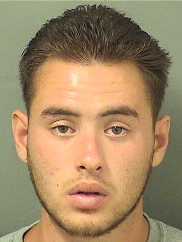  DARIAN OSCAR GONZALEZ Results from Palm Beach County Florida for  DARIAN OSCAR GONZALEZ