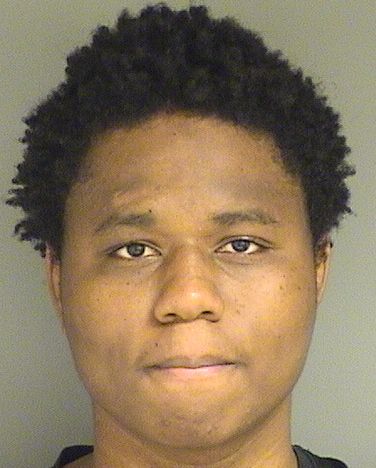  DASHAWN M FELTON Results from Palm Beach County Florida for  DASHAWN M FELTON