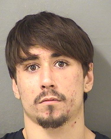  PETER J IACOBELLI Resultados de la busqueda para Palm Beach County Florida para  PETER J IACOBELLI