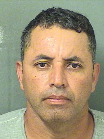  JOSE MELSIS ARIASREYES Results from Palm Beach County Florida for  JOSE MELSIS ARIASREYES