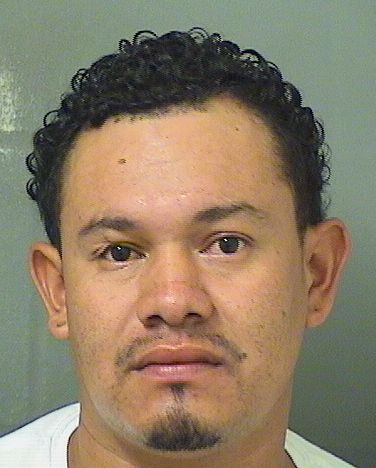  NERIN ADALID PALMAVELASQUEZ Results from Palm Beach County Florida for  NERIN ADALID PALMAVELASQUEZ
