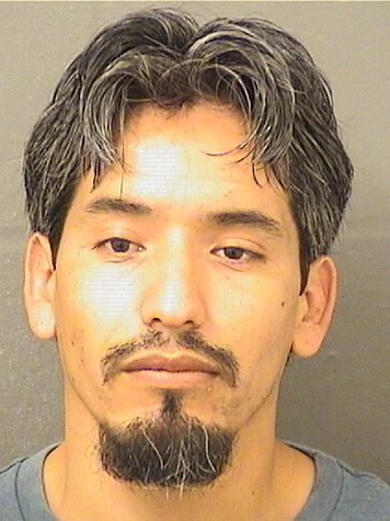  JORGE LUIS PEREZJUAREZ Results from Palm Beach County Florida for  JORGE LUIS PEREZJUAREZ