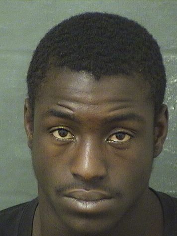  JOSEPH N Jr BROWN Resultados de la busqueda para Palm Beach County Florida para  JOSEPH N Jr BROWN