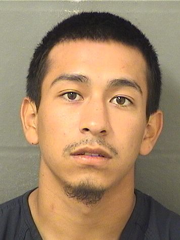  FRANK ANTHONY CHIA Results from Palm Beach County Florida for  FRANK ANTHONY CHIA