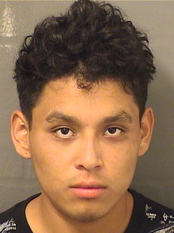  JOSE WILLIAM DIAZMALDONADO Results from Palm Beach County Florida for  JOSE WILLIAM DIAZMALDONADO