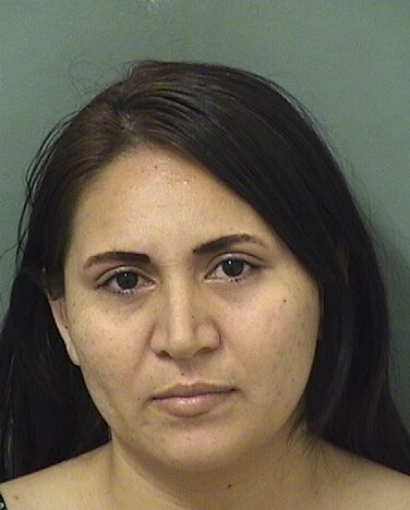  MIRIAN RUIZ Results from Palm Beach County Florida for  MIRIAN RUIZ