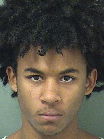  DERIC JAVON BROWN Results from Palm Beach County Florida for  DERIC JAVON BROWN