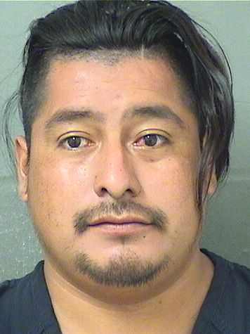  HUGO PEREZGONZALEZ Resultados de la busqueda para Palm Beach County Florida para  HUGO PEREZGONZALEZ