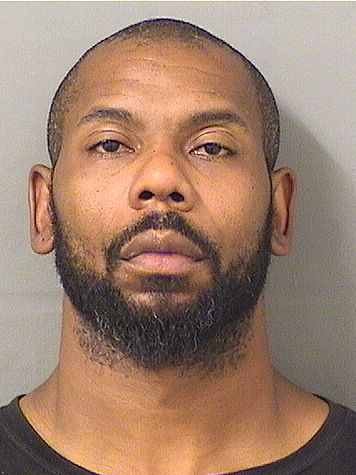  IAN J MCGEE Results from Palm Beach County Florida for  IAN J MCGEE