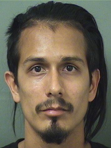  JONATHAN DAVID LEON Results from Palm Beach County Florida for  JONATHAN DAVID LEON