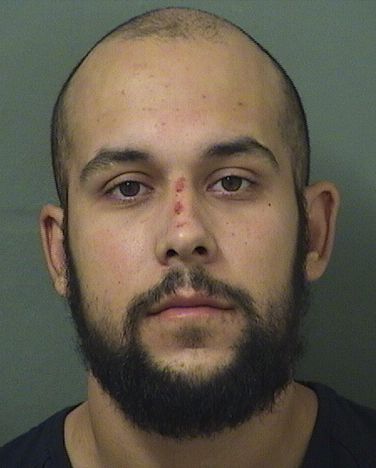  LUIS JOSEPH SOLIVAN Results from Palm Beach County Florida for  LUIS JOSEPH SOLIVAN