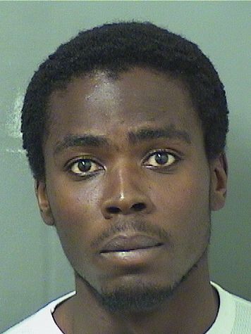  GERSON ORLANDO CONSTANT Results from Palm Beach County Florida for  GERSON ORLANDO CONSTANT