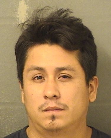  JUAN LUIS ALVARADOLOPEZ Results from Palm Beach County Florida for  JUAN LUIS ALVARADOLOPEZ