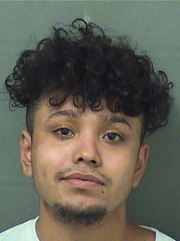  MARVIN OTTONIEL MANGANDID Resultados de la busqueda para Palm Beach County Florida para  MARVIN OTTONIEL MANGANDID