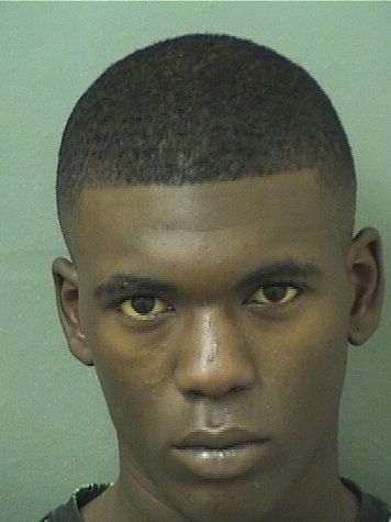  DIVIEN TYRESE COLSON Results from Palm Beach County Florida for  DIVIEN TYRESE COLSON