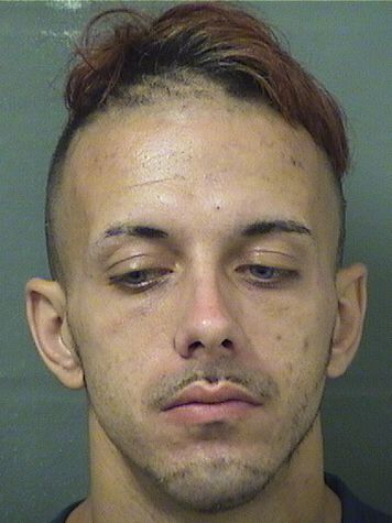  JEREMY FRANCIS BEAUDETTE Results from Palm Beach County Florida for  JEREMY FRANCIS BEAUDETTE