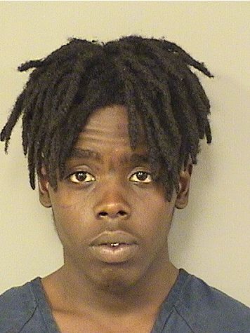  NAUTICA HARROLD Resultados de la busqueda para Palm Beach County Florida para  NAUTICA HARROLD