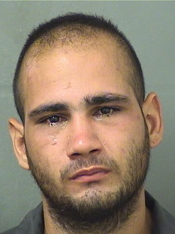  MARK ANTHONY AFANADOR Results from Palm Beach County Florida for  MARK ANTHONY AFANADOR