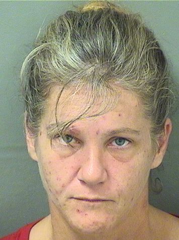  CHRISTINE M FIORENTINO Results from Palm Beach County Florida for  CHRISTINE M FIORENTINO