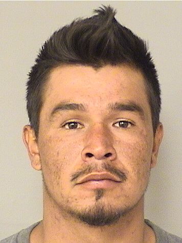  ISMAEL CRUZGOMEZ Resultados de la busqueda para Palm Beach County Florida para  ISMAEL CRUZGOMEZ