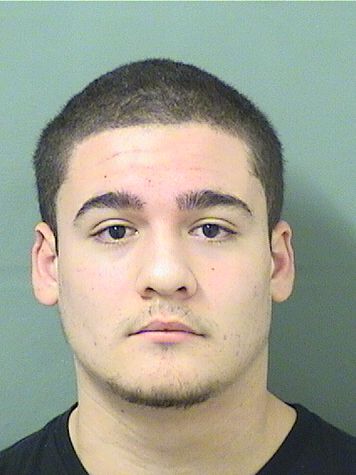  JAVIER P AFRICANO Results from Palm Beach County Florida for  JAVIER P AFRICANO