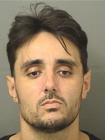  WILLIAM JAMES ALBANIS Results from Palm Beach County Florida for  WILLIAM JAMES ALBANIS