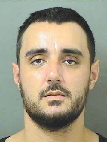  WILLIAM J Jr ALBANIS Results from Palm Beach County Florida for  WILLIAM J Jr ALBANIS