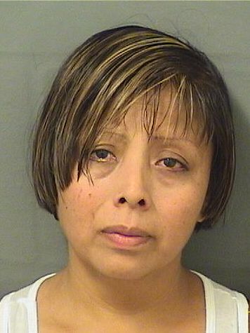  ALBA OVAILL Results from Palm Beach County Florida for  ALBA OVAILL