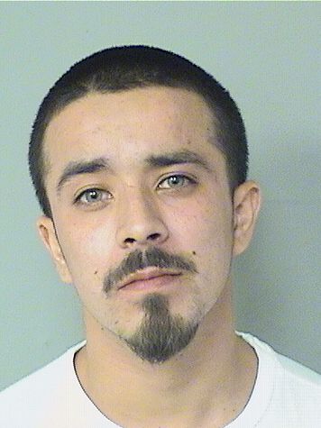 WALLY HERNANDEZ Results from Palm Beach County Florida for WALLY HERNANDEZ WALLY HERNANDEZ Results from Palm Beach County Florida for WALLY HERNANDEZ