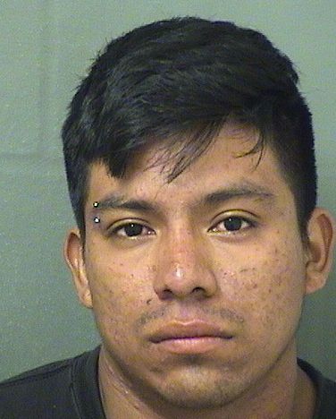 CESAR AMILCAR PEREZLOPEZ Results from Palm Beach County Florida for  CESAR AMILCAR PEREZLOPEZ