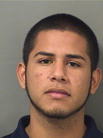  SEBASTIAN ALEJANDRO TRIVINO Results from Palm Beach County Florida for  SEBASTIAN ALEJANDRO TRIVINO