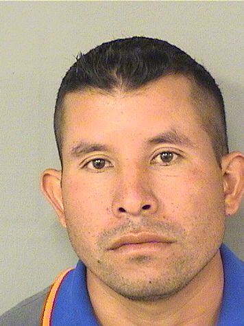  WUALTER E GOMEZROLDAN Photo For  WUALTER E GOMEZROLDAN