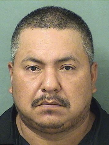  MIGUEL ANGEL HERNANDEZESCOBAR Results from Palm Beach County Florida for  MIGUEL ANGEL HERNANDEZESCOBAR